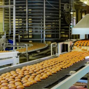 Food grade conveyors