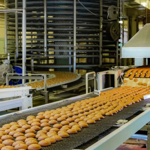 Food grade conveyors Food grade conveyors