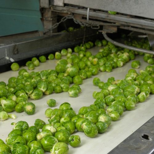 Food grade conveyors Food grade conveyors